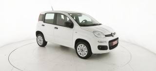 FIAT Panda usata 23