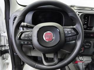 FIAT Panda usata 13