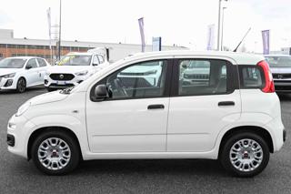 FIAT Panda usata, con Climatizzatore