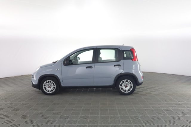 FIAT Panda usata 6