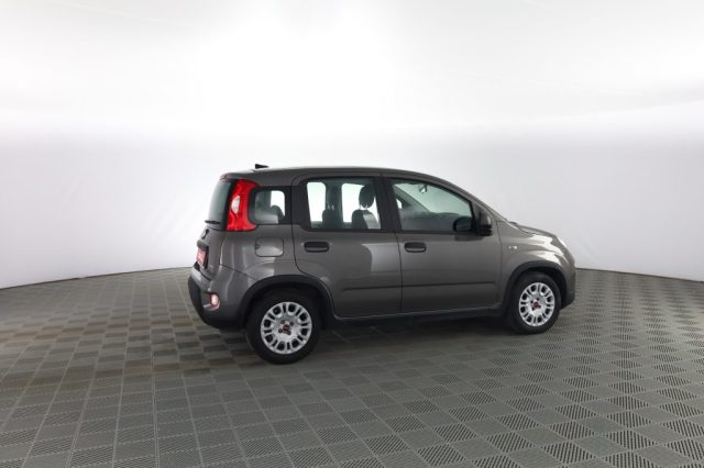 FIAT Panda usata 2