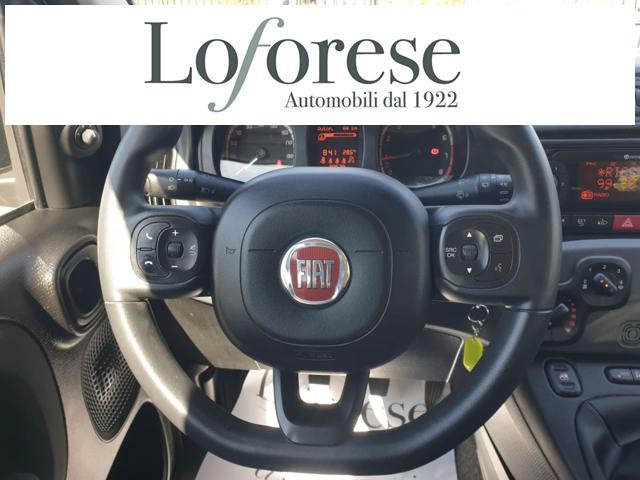 FIAT Panda usata 13