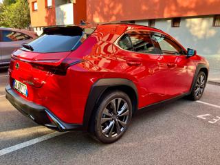 LEXUS UX 250h usata, con Autoradio