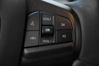 FORD Mustang Mach-E usata, con Portellone posteriore elettrico