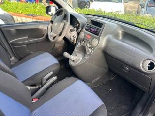 FIAT Panda usata 2
