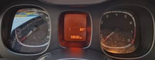 FIAT Panda usata 15