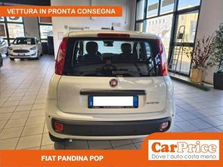 FIAT Pandina usata, con Immobilizzatore elettronico