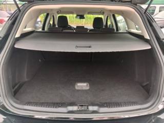 FORD Focus usata, con Fendinebbia