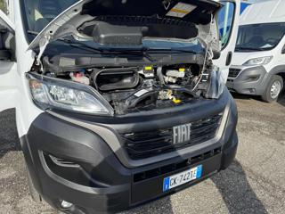 FIAT Ducato usata 19