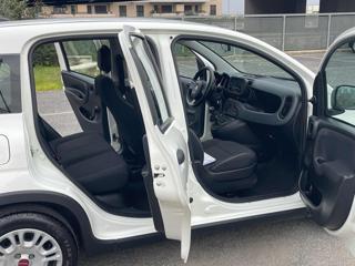 FIAT Panda usata 15