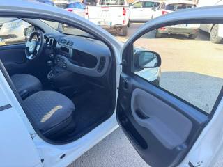 FIAT Panda usata 14