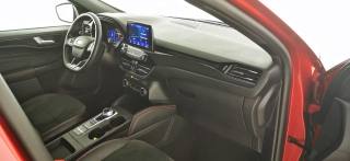 FORD Kuga usata, con Adaptive Cruise Control