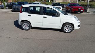 FIAT Panda usata, con Airbag Passeggero