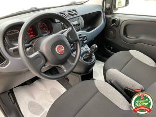 FIAT Panda usata, con ESP