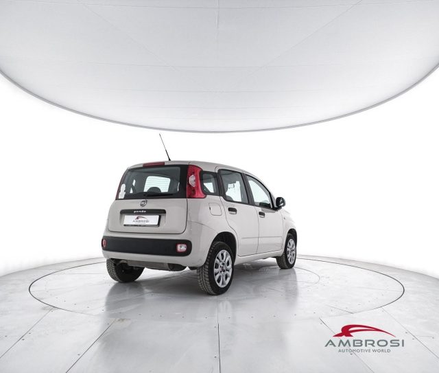 FIAT Panda usata 2