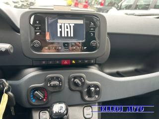 FIAT Panda usata, con Frenata d