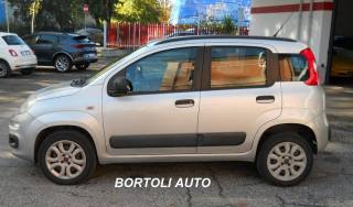 FIAT Panda usata, con Airbag Passeggero