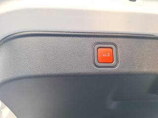 FIAT 600 usata, con Adaptive Cruise Control