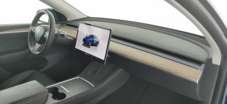 TESLA Model Y usata 55