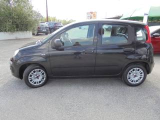 FIAT Panda usata, con Climatizzatore