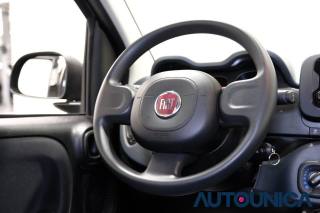 FIAT Panda usata 37