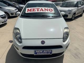 FIAT Punto usata, con Airbag Passeggero