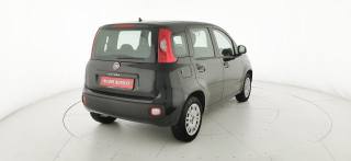 FIAT Panda usata, con Chiusura centralizzata