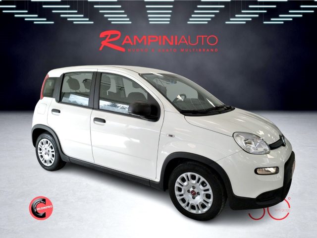 FIAT Panda usata 4