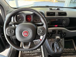 FIAT Panda usata, con Fendinebbia