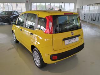 FIAT Panda usata, con Chiusura centralizzata