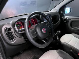 FIAT Panda Cross usata, con Chiusura centralizzata