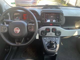 FIAT Panda Cross usata, con Chiusura centralizzata