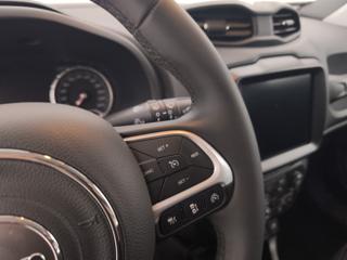 JEEP Renegade usata, con Fendinebbia