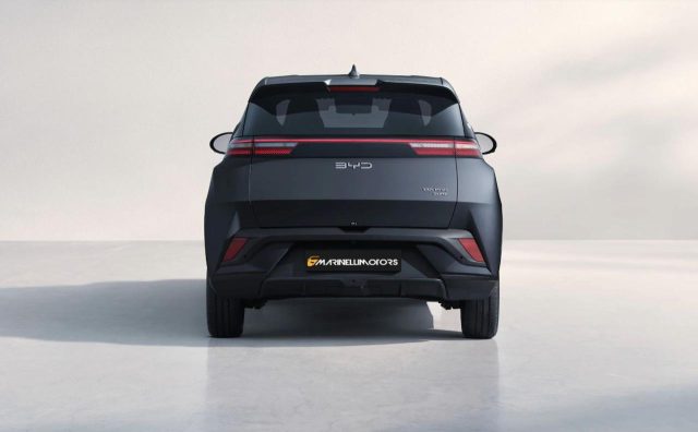 BYD Dolphin Surf usata, con Airbag laterali