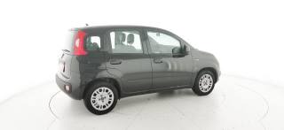 FIAT Panda usata 41