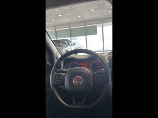 FIAT Panda Cross usata, con Immobilizzatore elettronico
