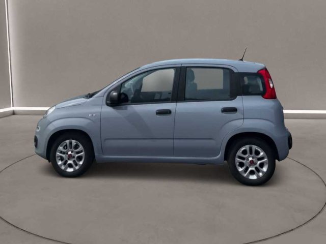 FIAT Panda usata, con Chiusura centralizzata