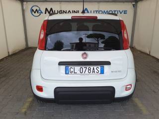 FIAT Panda usata, con Servosterzo
