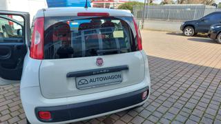 FIAT Panda usata, con Monitoraggio pressione pneumatici