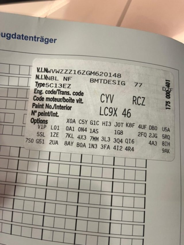 VOLKSWAGEN Maggiolino usata, con Airbag testa