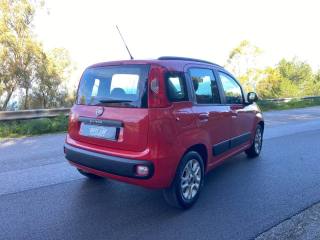FIAT Panda usata, con Cronologia tagliandi