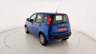 FIAT Pandina usata, con Controllo trazione