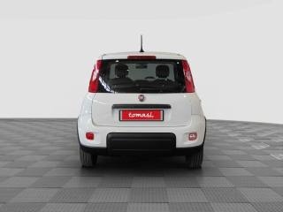 FIAT Panda usata 3