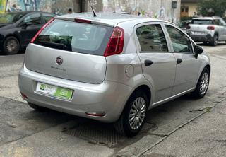 FIAT Punto usata, con Fendinebbia
