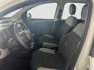 FIAT Panda usata 8