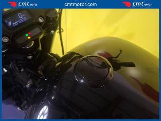 HARLEY-DAVIDSON Softail usata 6