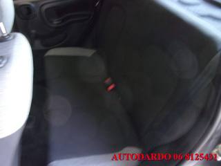 FIAT Panda usata 17