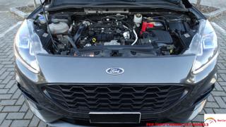 FORD Kuga usata, con Filtro antiparticolato