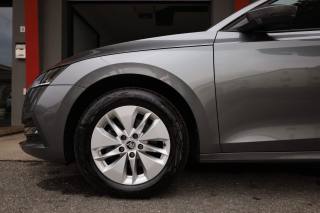 SKODA Octavia usata 164