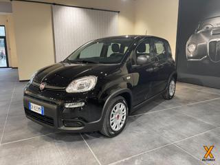 FIAT Panda 1.0 FireFly S&S Hybrid CON ROTTAMAZIONE